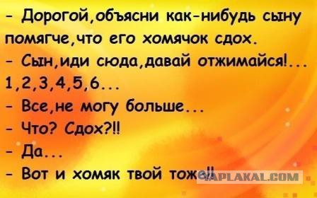 Картинки. Интересные, старые и не очень.