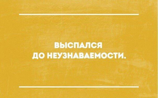 Перлы и высказывания