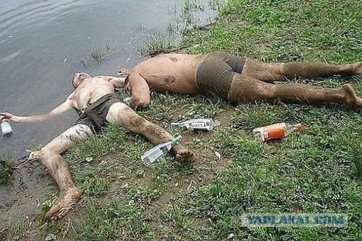 Телеведущий Дмитрий Киселев объяснил разбитое в Крыму лицо сменой имиджа, которая «отражает его позицию