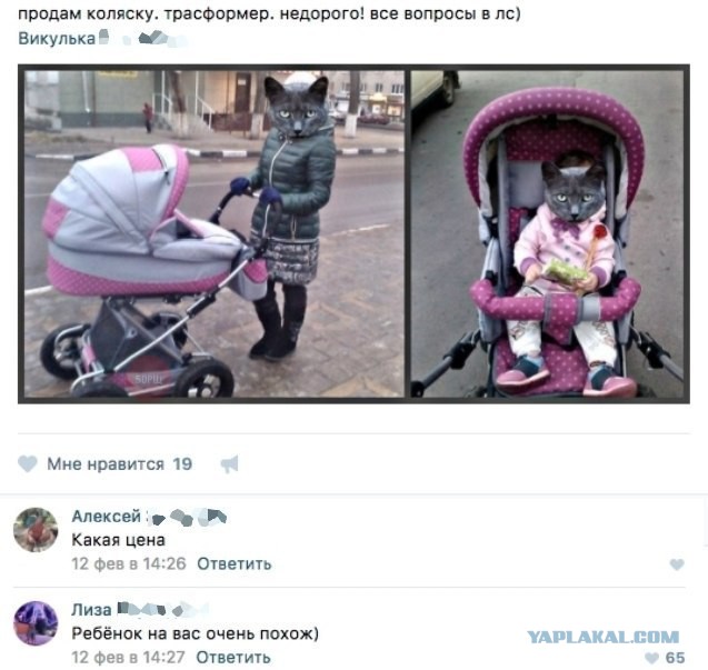 Подборка интересных и веселых картинок