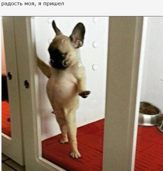 Почему я не беру Ленку замуж