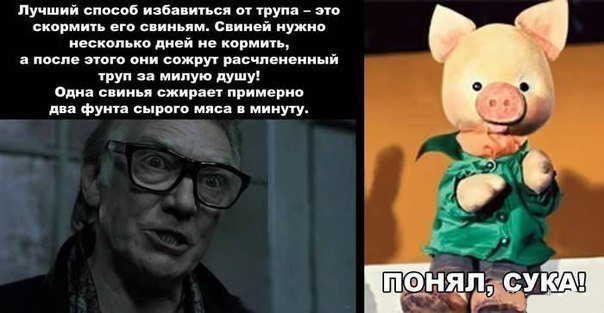 Ахтунг! Это действительно так - за нами следят!