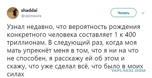 Смешные комментарии из социальных сетей 01.12.2017