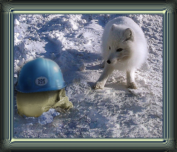 Просто Природа