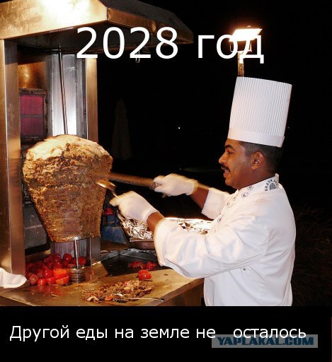 Толкования катренов Нострадамуса 2006-2029г.