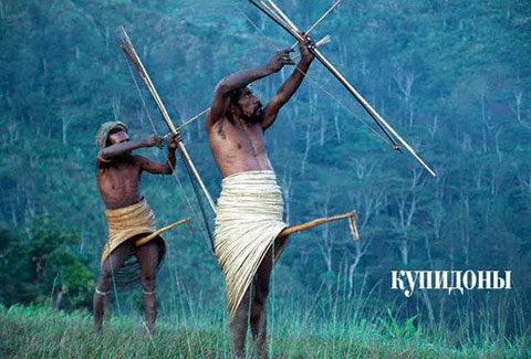 Скотсети и прочие интернеты 04.03.19