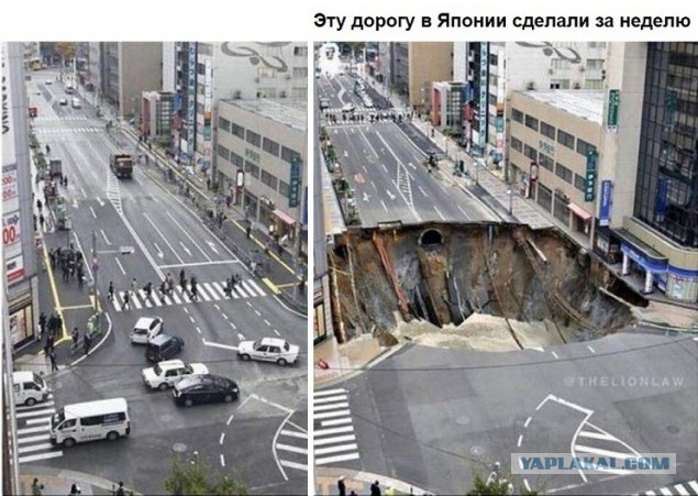 Анекдоты, соц-сети и картинки с надписями