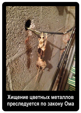 Электрожиза
