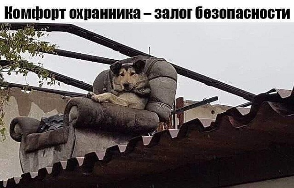 Чуток картинок 14.10.19
