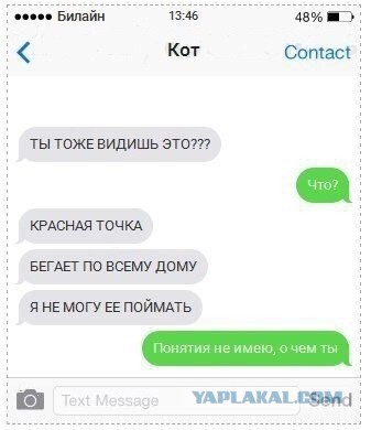 Вещи, которые будут понятны только тем, кто делит свою жилплощадь с котом
