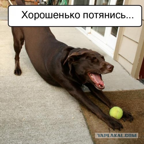Спорим, зевнешь?))) (28 фото)