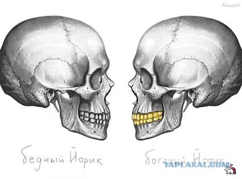 Юмор в картинках