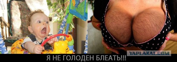 Где тут тормооооз?!