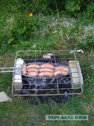 Все из рыбы!