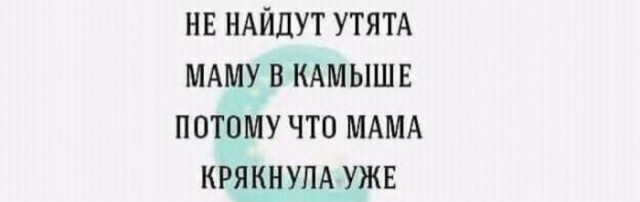 Пост деградации. Мой любимый пост. Категории Б
