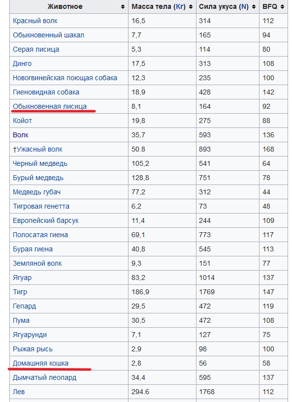 Лиса обнимается со своим человеком