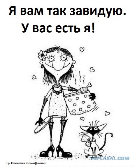 Котовторник ведь начался!