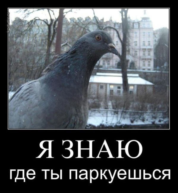 Скоро пятница. Разминаемся