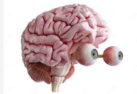 Снова смеркалось