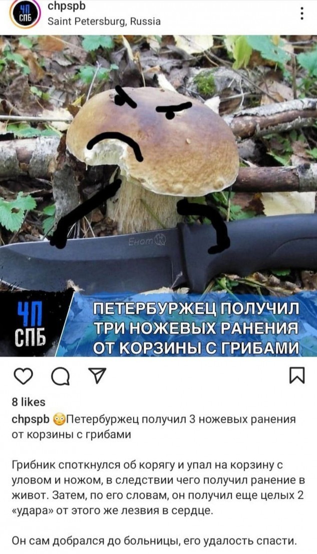 Всего понемногу. От 02.08.24