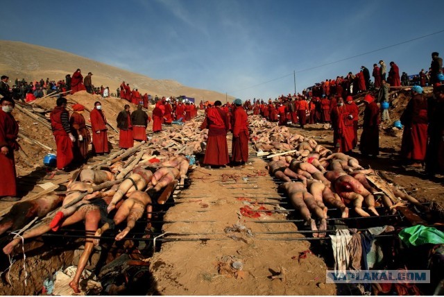 Ещё раз о толерантности