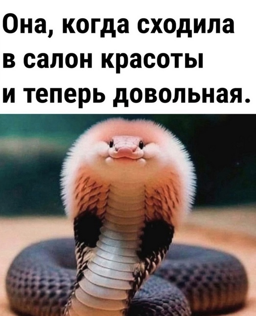 Так себе картинки 02.03.25