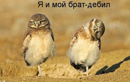 Тигра на охоте
