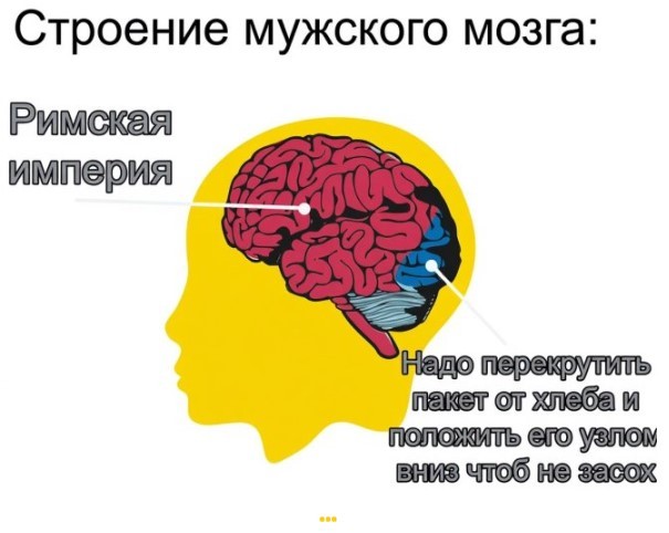 Картиночки, баянчики 01 августа