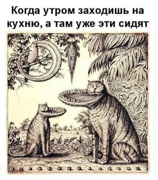 Всемирный день котиков.