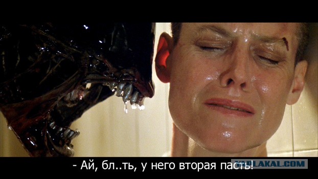 Этот чёрт совсем берега попутал, будем его мочить