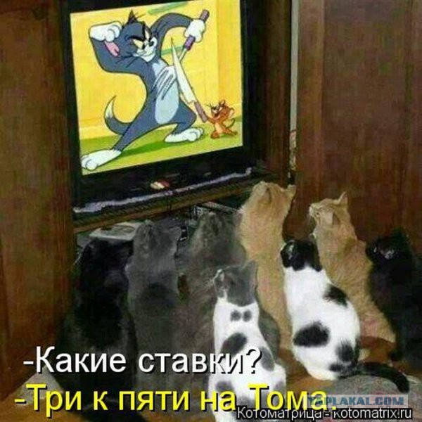 Смешное из соц сетей