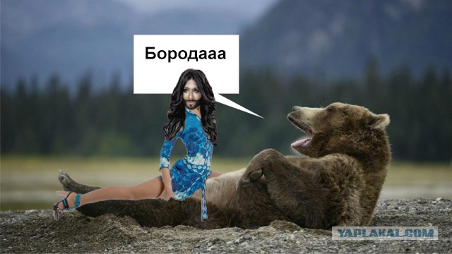 Новый мидвет!