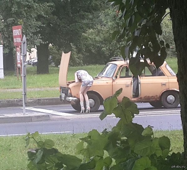 Что она там ищет ?