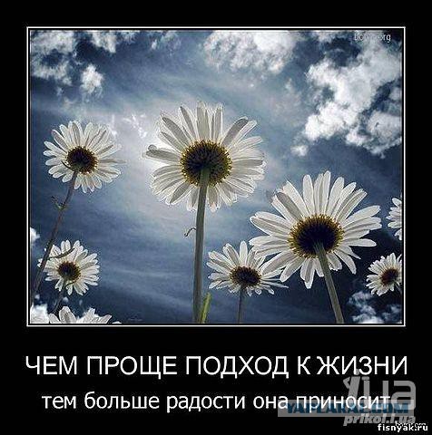 Чёрт, чёрт, чёрт!