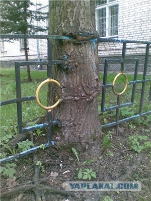 Держитесь за поручни
