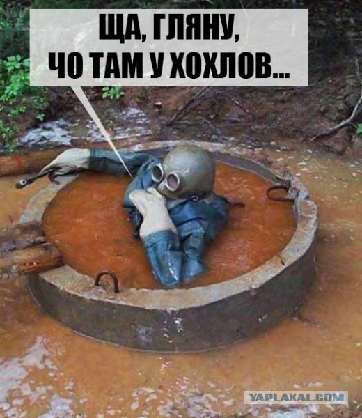 Параш - уходи!