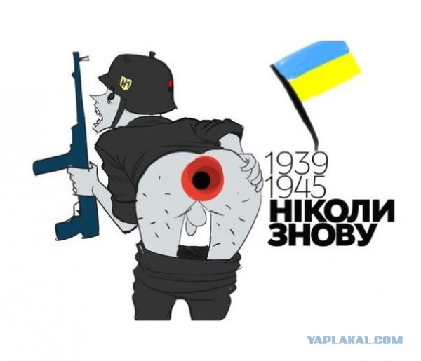 Жириновский вынес укропа с маком в прямом эфире