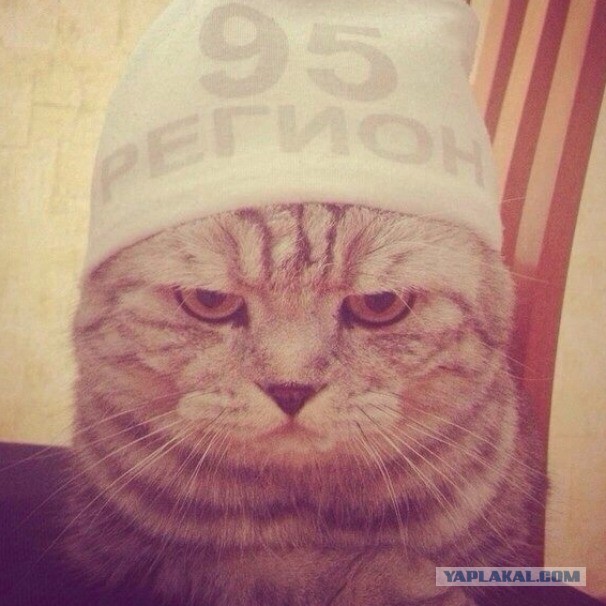 О семейных отношениях