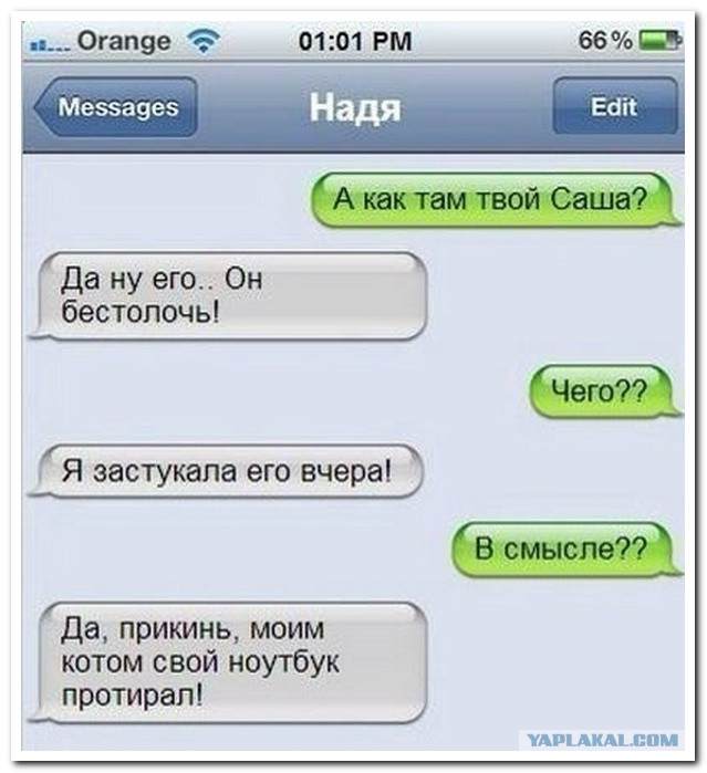 Смешные комментарии из социальных сетей