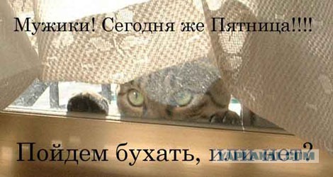 Ура Мужики Пятница