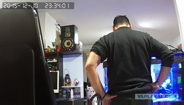 За что я люблю китайцев