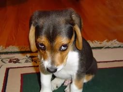 Авария из-за маршрутки