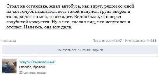 Смешные комментарии из социальных сетей 27.01.2017