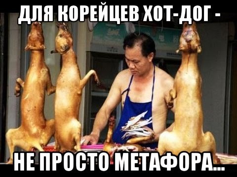 Экспериментальный чёрный юмор