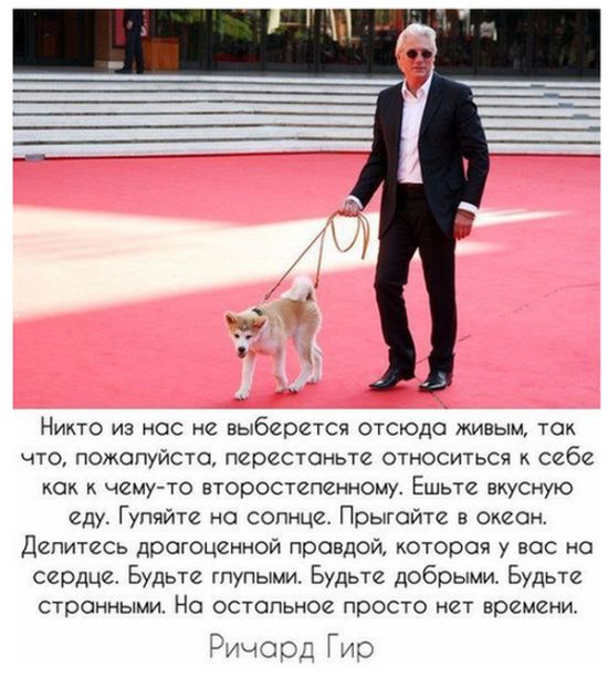 Живность из сети