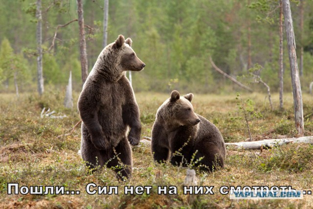 В ночном клубе Нижнего Новгорода молодые люди занялись сексом под "Нирвану"