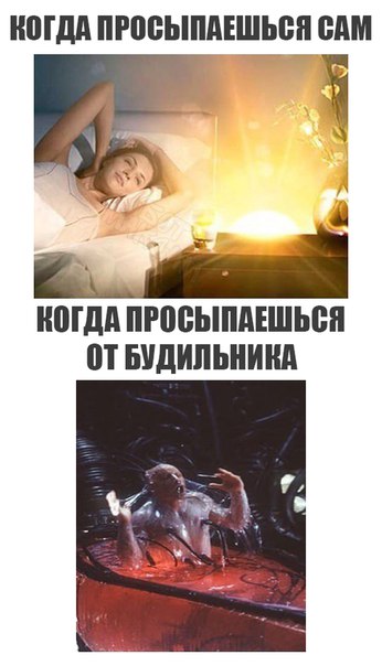 Подборка приколов на любой вкус!