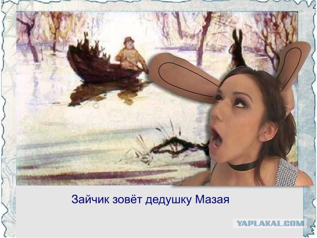 Скотсети и прочие интернеты 13.11.17