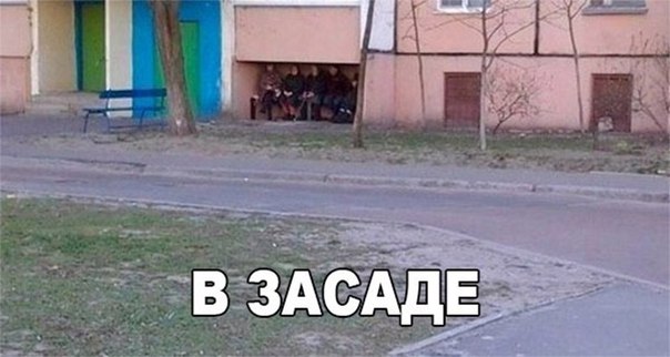 Просто юмор 19