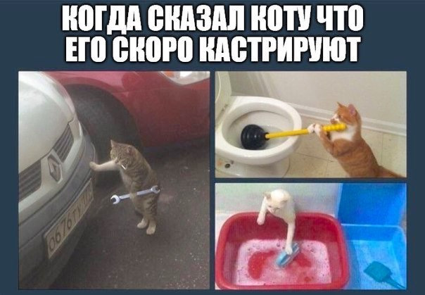 Всякие странные картинки